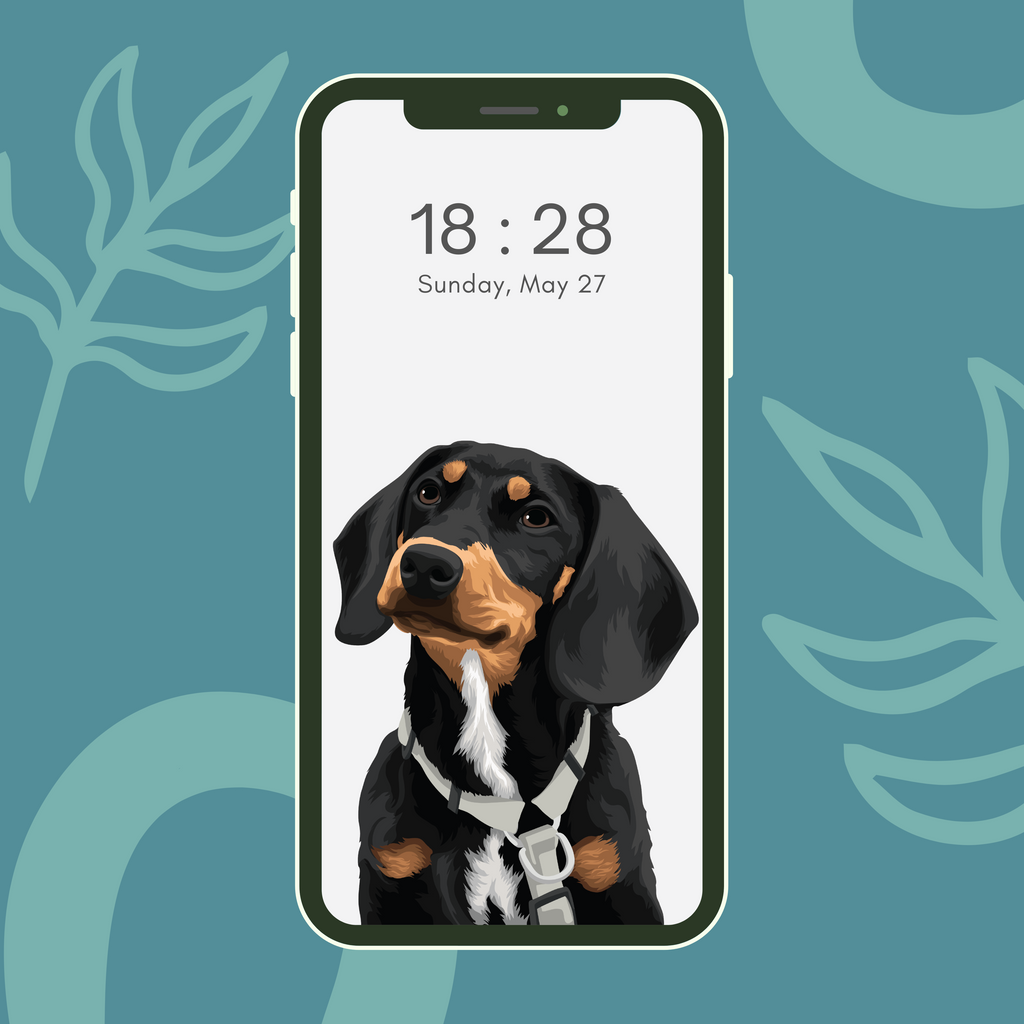 Ozadje za telefon: Portret ljubljenčka