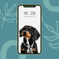 Ozadje za telefon: Portret ljubljenčka