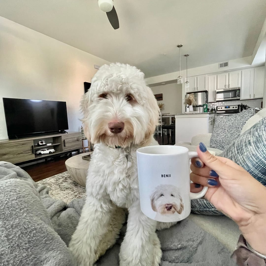 Skodelica: Portret ljubljenčka
